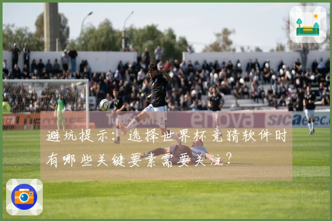 避坑提示：选择世界杯竞猜软件时有哪些关键要素需要关注？