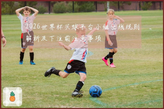 2026世界杯买球平台小组出线规则解析及下注前注意事项